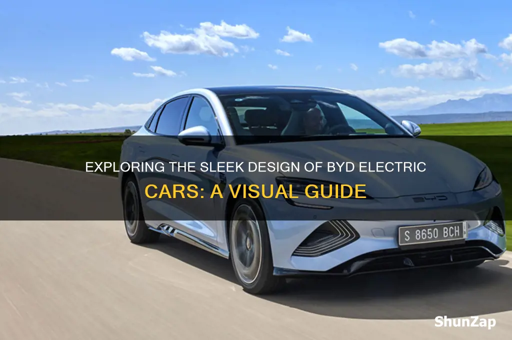 what does a byd electric car look like