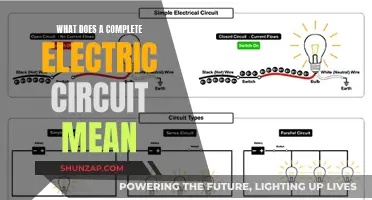 Understanding Electric Circuits: What Makes Them Complete?