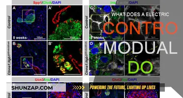 Understanding Electric Control Modules: Their Function and Importance