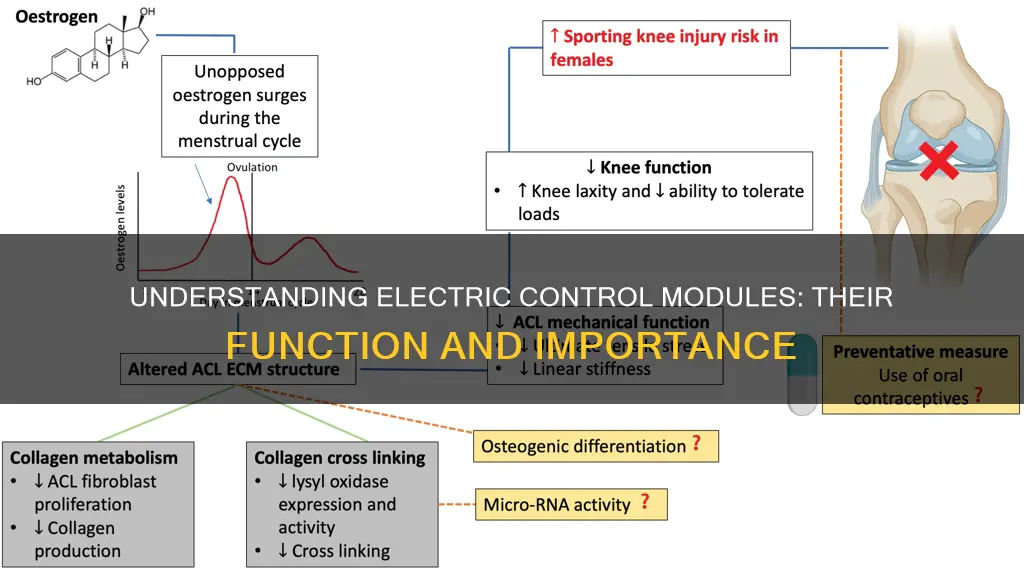 what does a electric control modual do