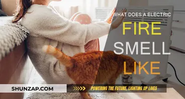 Electric Fire: What's That Smell?