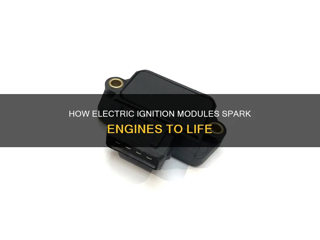 what does a electric ignition module do