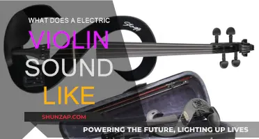 Electric Violin: The Sound of Innovation