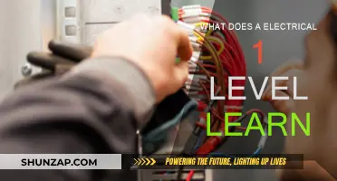 Electrical Apprentice: The Basics and Beyond