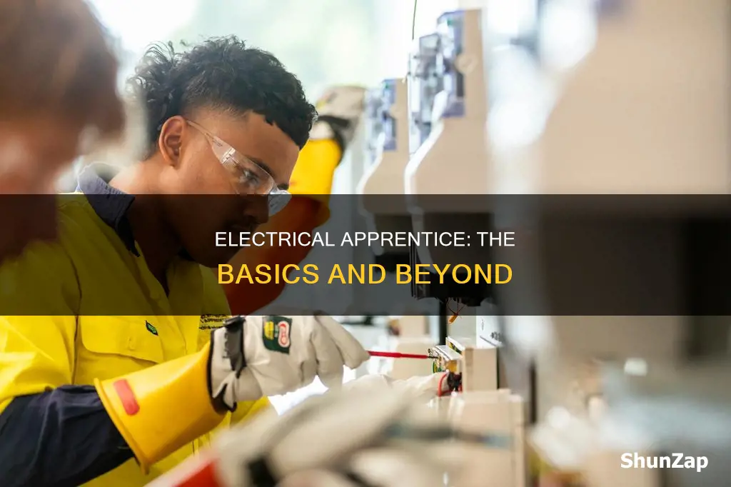 what does a electrical 1 level learn