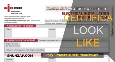 Electrical Certificate Essentials: What to Look For