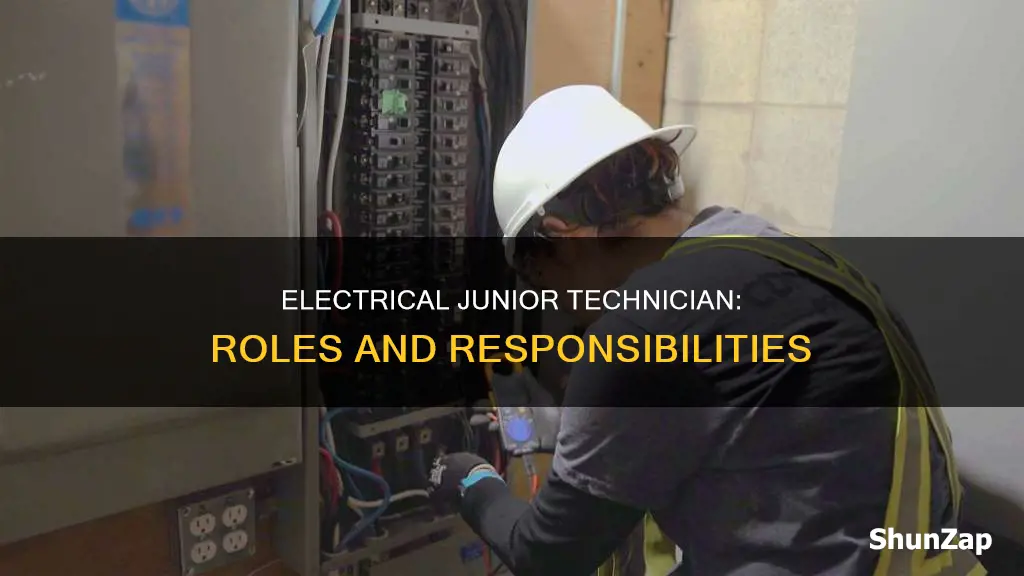 what does a electrical junior technician do