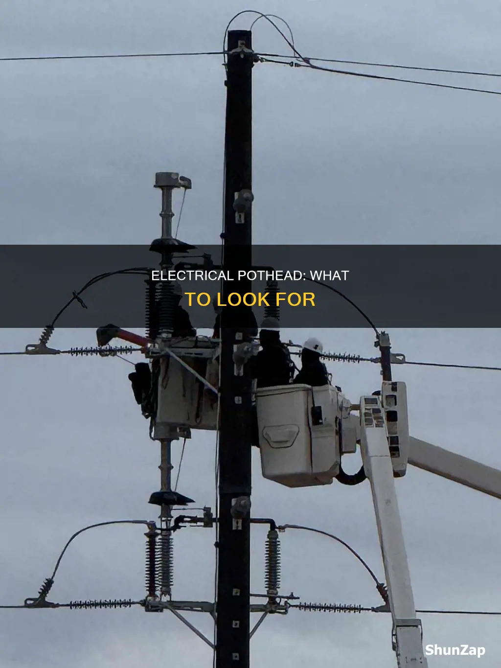 what does a electrical pothead look like