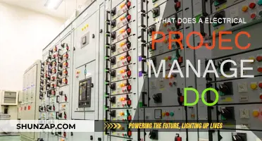 Electrical Project Managers: Overseeing Complex Electrical Systems