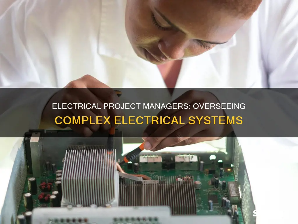 what does a electrical project manager do