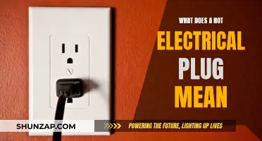 Electrical Plug: Why It Gets Hot and What to Do