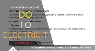 Magnets and Electricity: How Do They Interact?