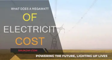 How Much Does a Megawatt of Electricity Cost?