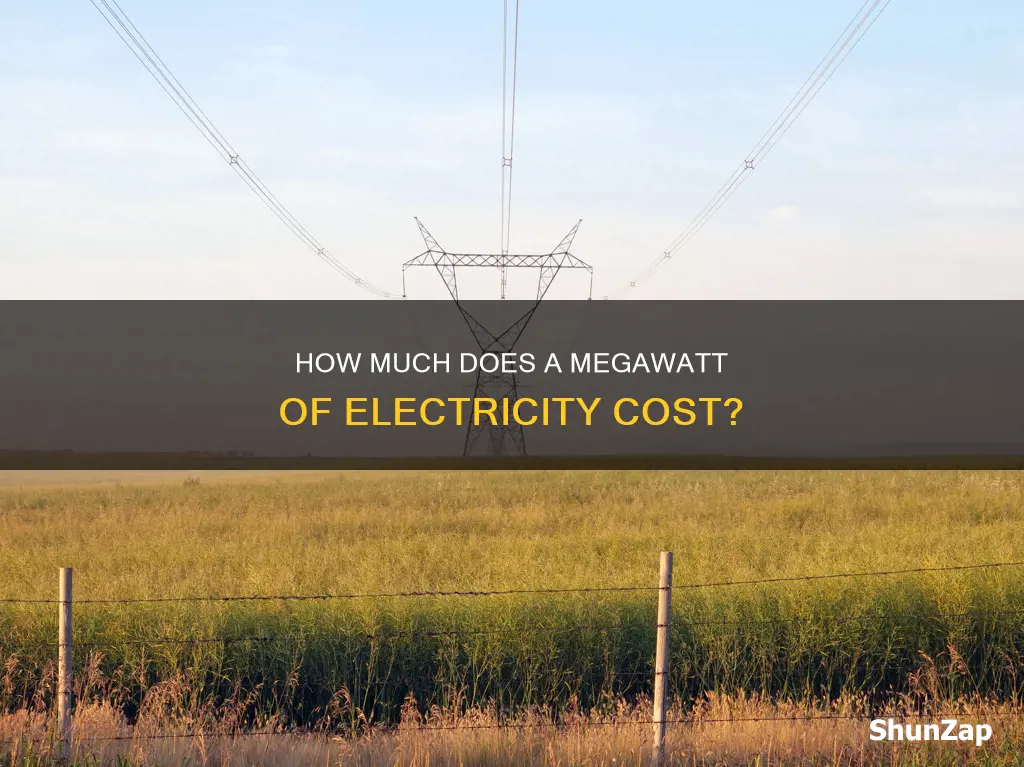 what does a megawatt of electricity cost