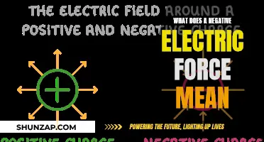 Understanding Negative Electric Forces: Nature's Push and Pull