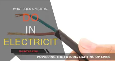 Neutral Electricity: The Balancing Act