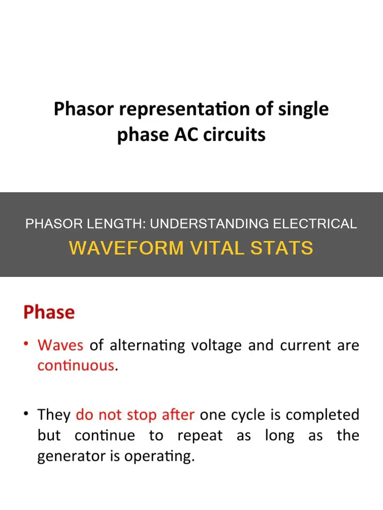 what does a phasors length represent electricity