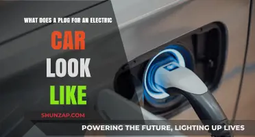 What Does an Electric Car Plug Look Like? A Visual Guide