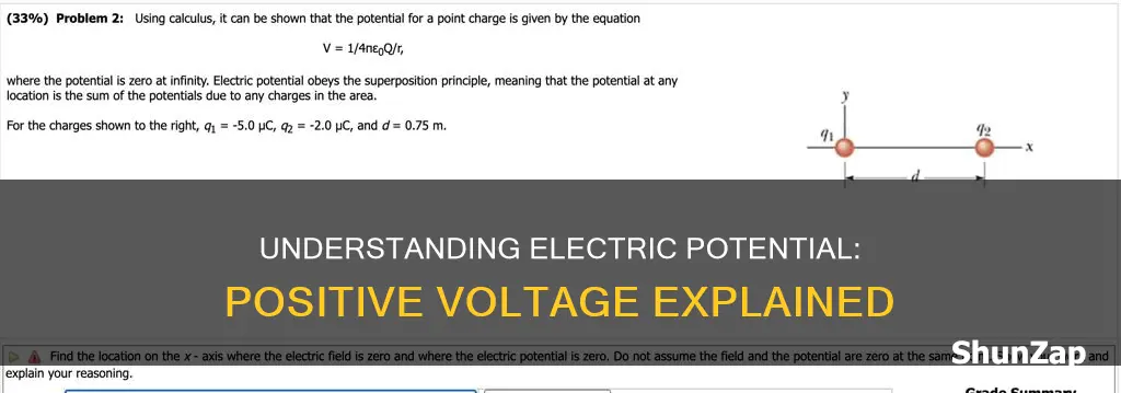 what does a positive electric potential mean
