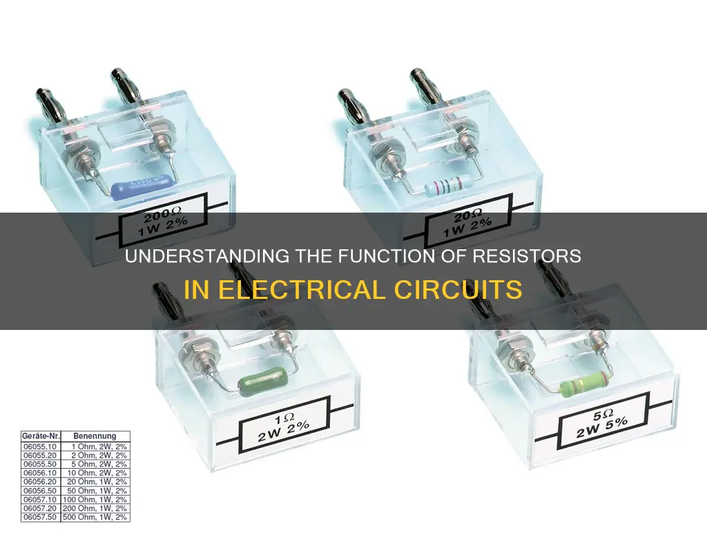 what does a resistor do in electricity