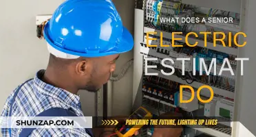 Electrical Estimating: Senior Roles and Responsibilities