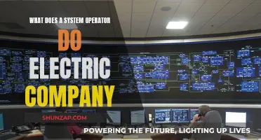 Unveiling the Role of a System Operator: Powering the Electric Grid