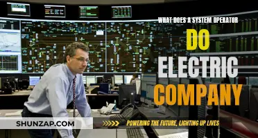 System Operator: Electric Company's Control Room Commander