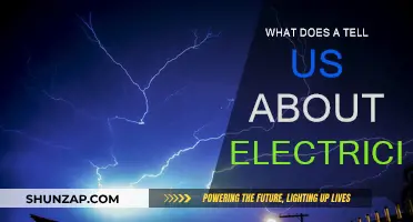 Electricity Insights: What Tree Rings Can Tell Us