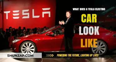 Exploring the Sleek Design of Tesla Electric Cars: A Visual Guide