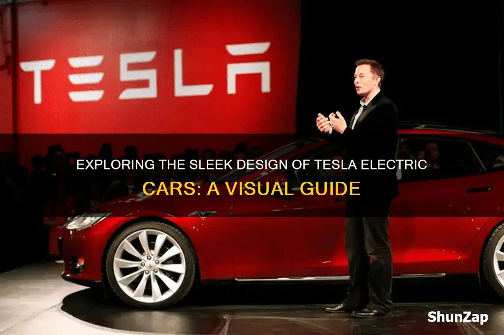 what does a tesla electric car look like