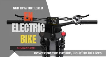 Electric Bike Throttle: How Does It Work?