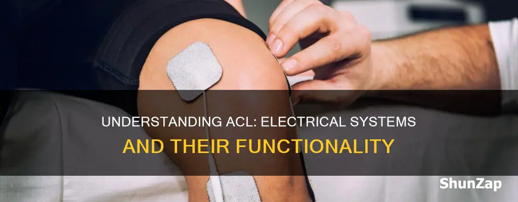 what does acl mean in electrical