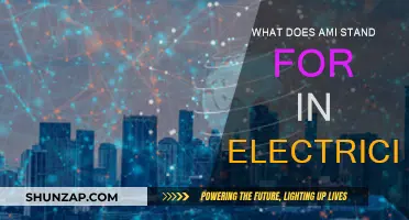 AMI: The Future of Electricity Metering and Monitoring