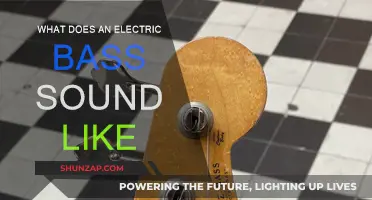 The Electric Bass: A Distinctive Sound