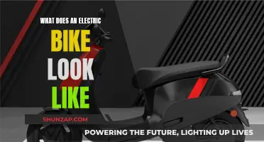 Electric Bike Anatomy: Components and Design Explained