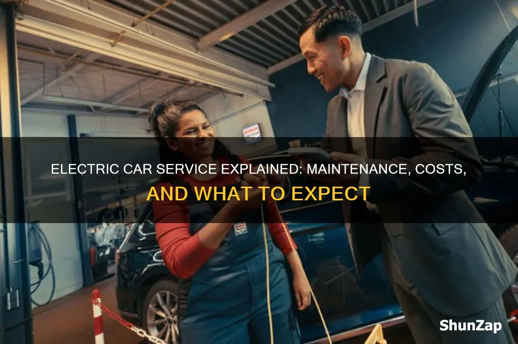 what does an electric car service involve