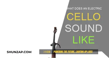 Electric Cello: A Unique Sound