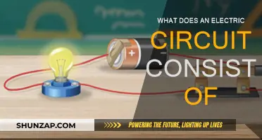 The Building Blocks of Electric Circuits