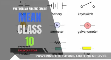 Understanding Electric Circuits: A Class 10 Primer
