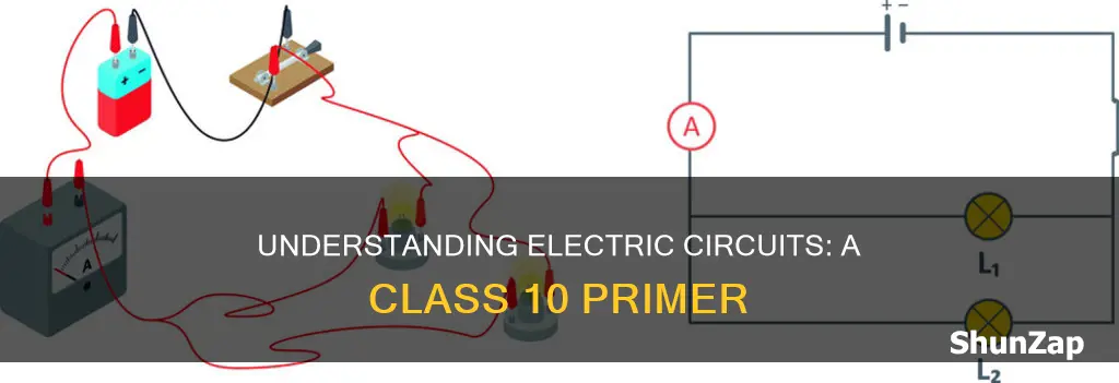 what does an electric circuit mean class 10
