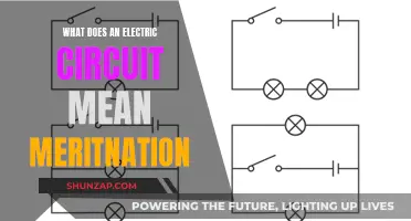 Understanding Electric Circuits: Definition and Basics