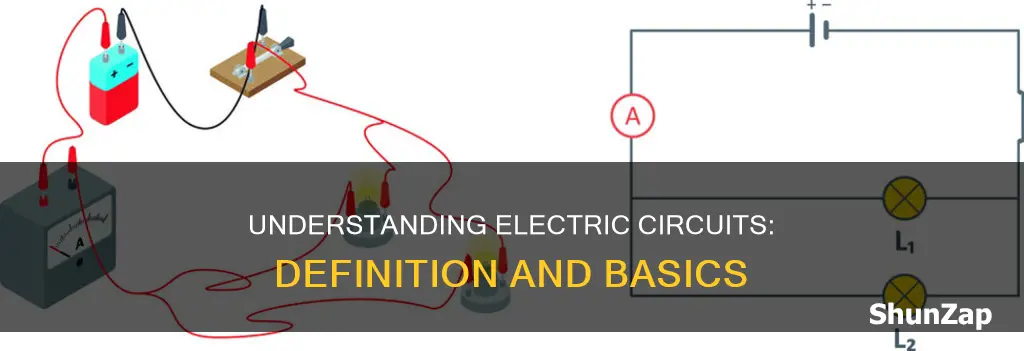 what does an electric circuit mean meritnation