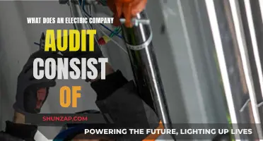 Unraveling the Mystery: What an Electric Company Audit Entails