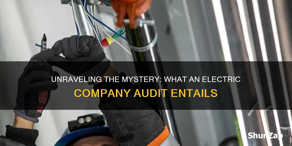 what does an electric company audit consist of