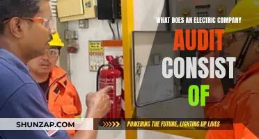 Electric Company Audit: What's Involved and Why