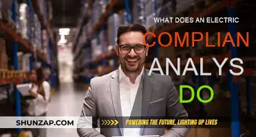 Compliance Analyst: Electric Industry's Watchful Eye