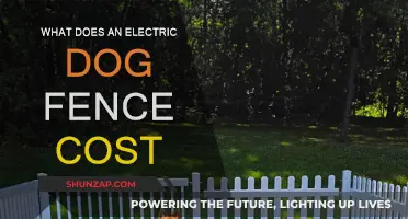 Electric Dog Fence Cost: How Much Does It Really Cost?