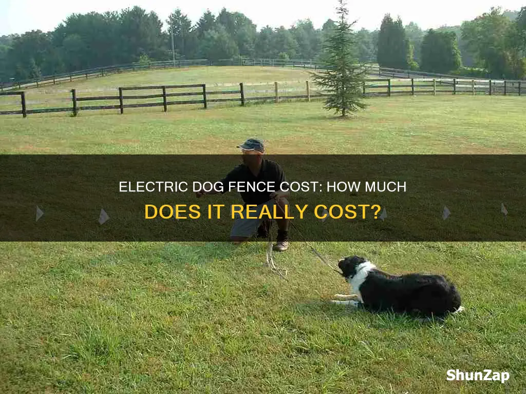 what does an electric dog fence cost