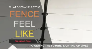 Electric Fence Encounter: What It Feels Like