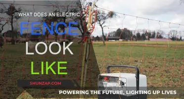 Electric Fences: What They Look Like and How They Work